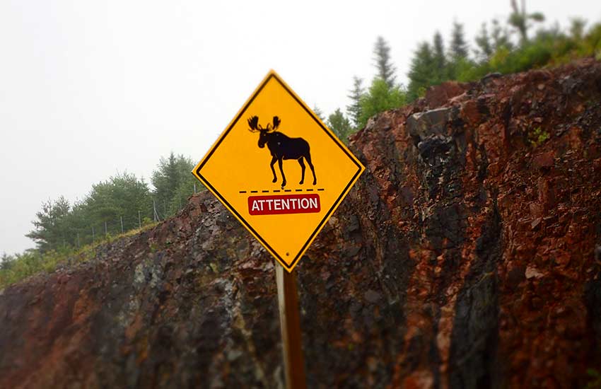 Un panneau routier signalant la présence d'orignacs au Nouveau Brunswick