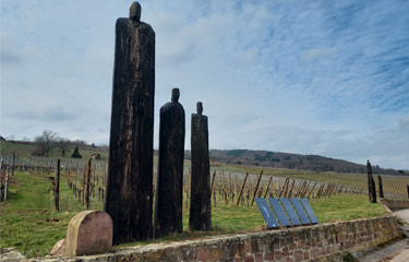 Photo d'introductoin de l'article Ribeauvillé, l’héritage viticole du moine-chevalier