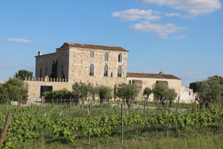 Photo d'introduction du sous-article Sexy, les vins du domaine Fitapreta Winery