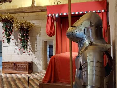 Photo de l'article Touraine - Rêves de Noël dans les châteaux