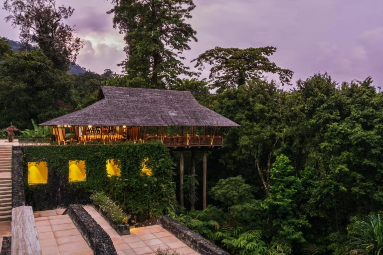 The Pavilion restaurant at Datai Langkawi stands on stilts.